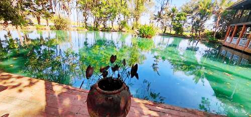 Bed and breakfast  Rim Nuea