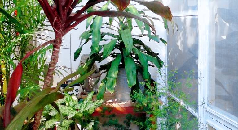 Casa De La Luz - Guesthouse — photo 5