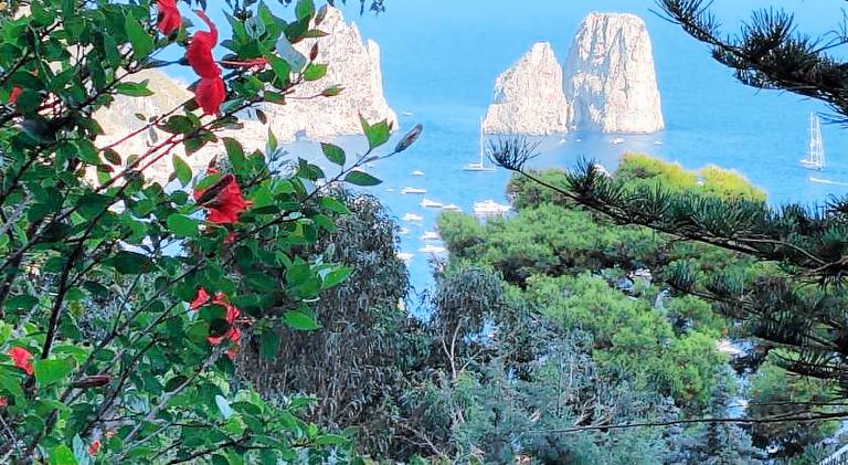 Villa Capri