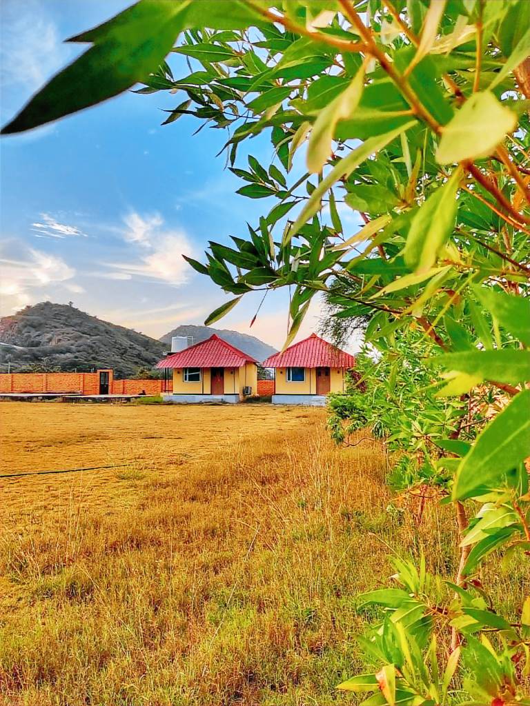 Villa with BBQ, garden & pool | Dogs allowed in Udaipur
