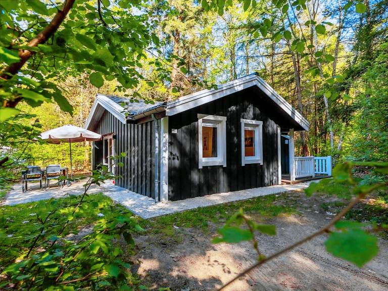 Vakantiepark De Wiltzangh Houtenborg Lodge