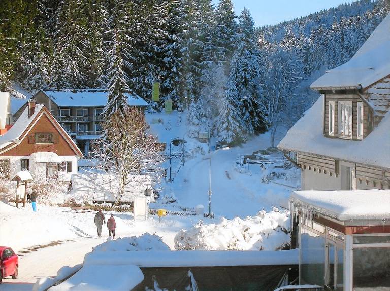 Ferienwohnung Hahnenklee