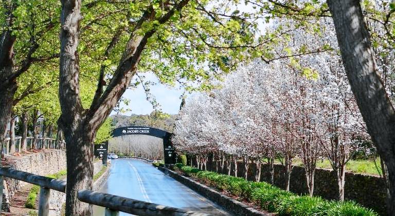 16 m&sup2; Ferienhaus