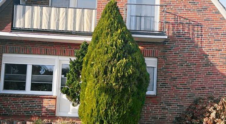 Apartment | Pet-friendly in Papenburg
