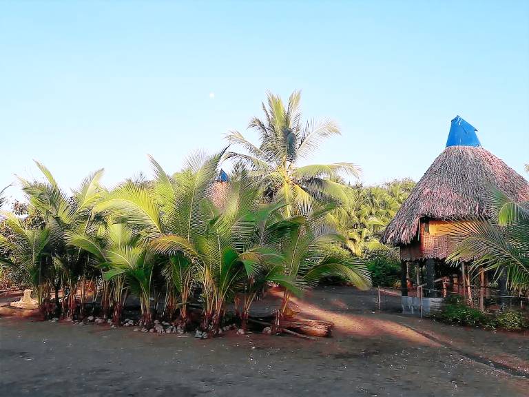 Hütte  Isla de Cañas