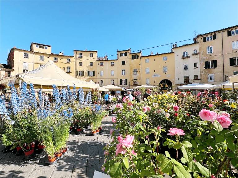 Rental apartment | Next to Lucca Cathedral | City view — photo 4