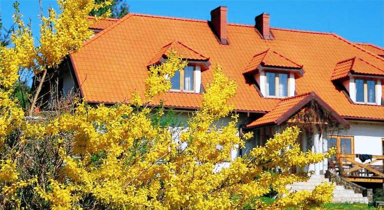 Bed & Breakfast Cisna