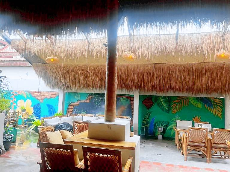 Noah’s Ark Cannabis Bar Restaurant Hostel — photo 3