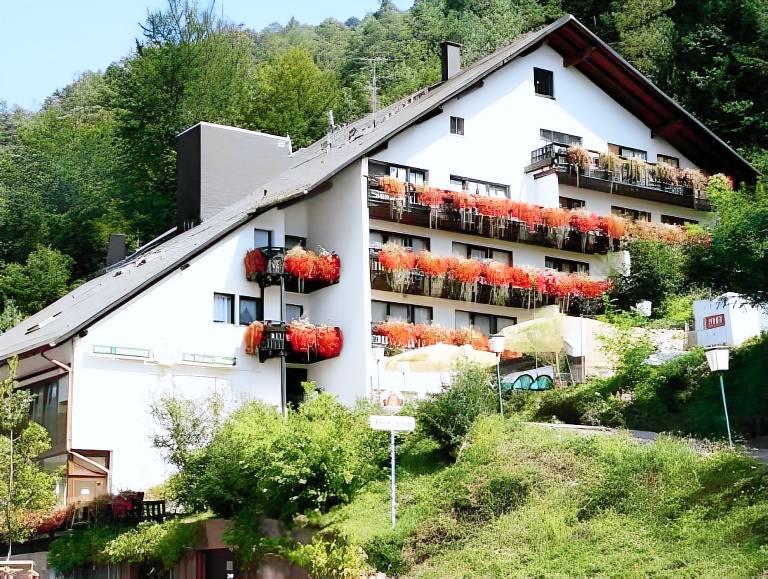 Hotel Die Kleine Blume in Hauenstein