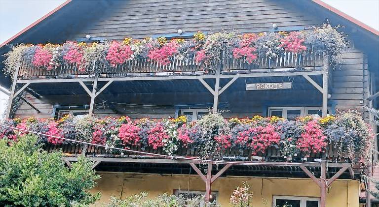 Lovely farm with garden | Dogs allowed in Wisla