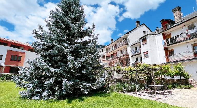 Wonderful holiday apartment with garden | Pets are welcome — photo 5