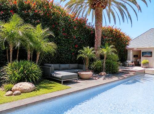 Palm Villa with heated pool and spa