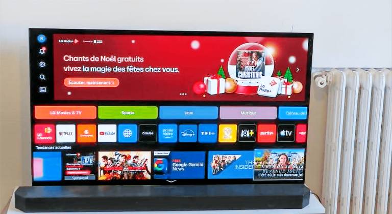 Chambre spacieuse TV Oled, proche Tete d'or in Lyon