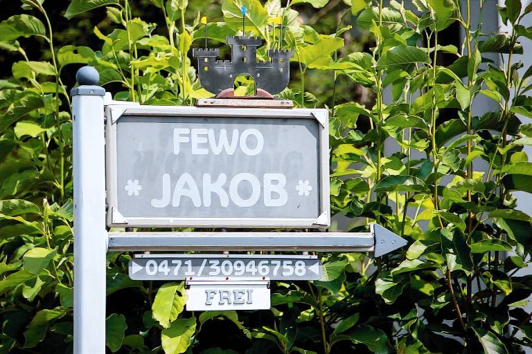 foto2