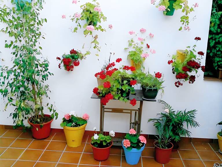 Apartamento Palma del Río