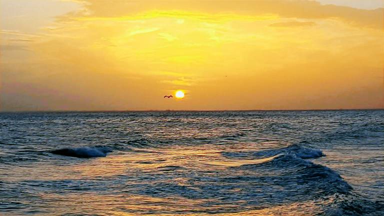 Condo Fort Myers Beach