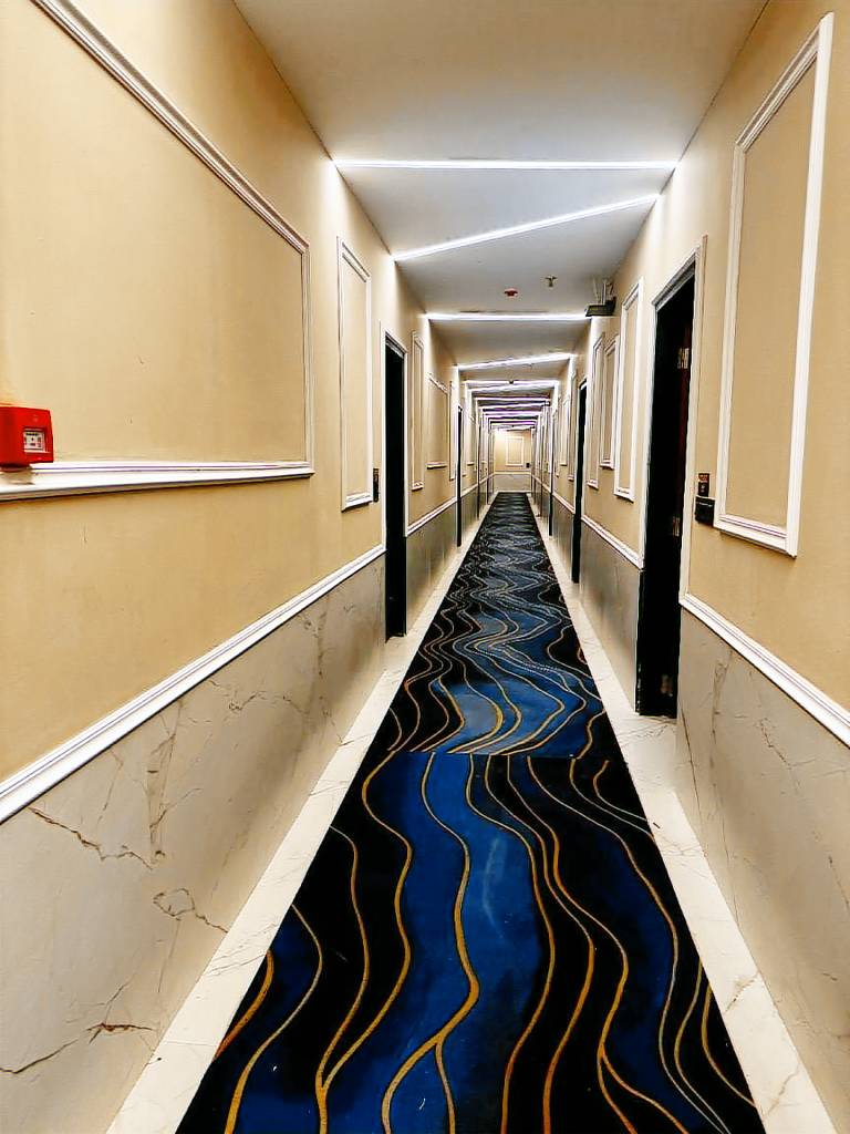 The Pearl Hotel Sirsa — photo 5