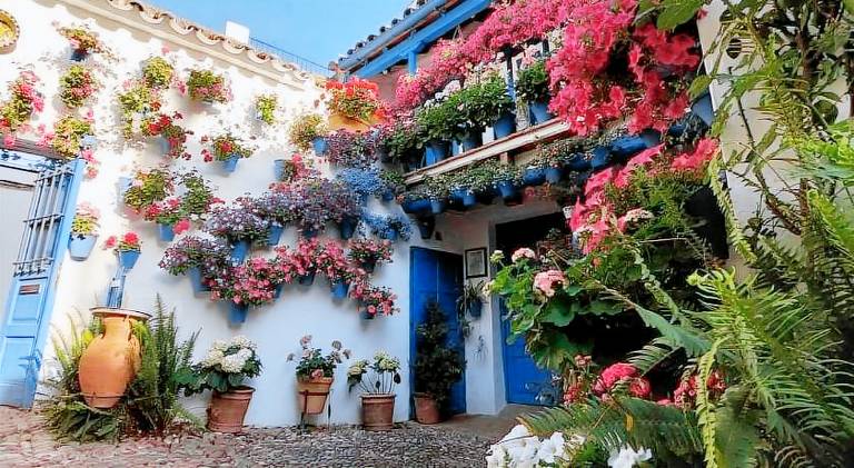 Lovely house | Next to Mosque–Cathedral of Córdoba | Pets allowed — photo 3