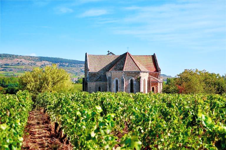 Maison de vacances Santenay