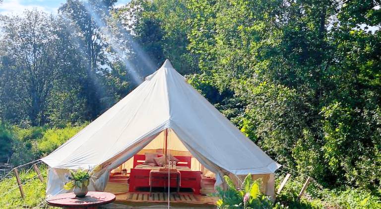 Tent with pool | Pets are welcome — photo 4