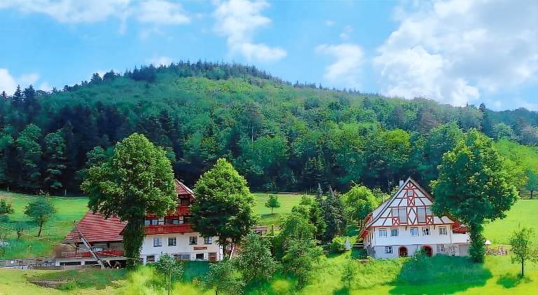 Lovely rental apartment | Pets allowed in Oppenau