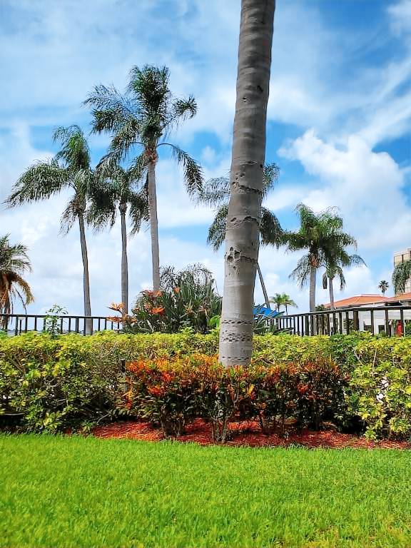 Condo Isla del Sol