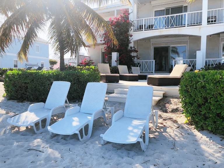 House Palm Cay