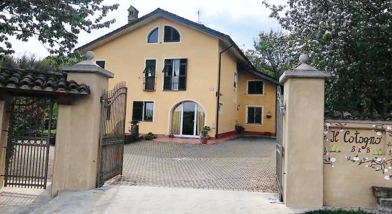 Il cotogno in Gavi