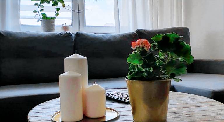 Apartment with 1 room for 4 persons in Malbork