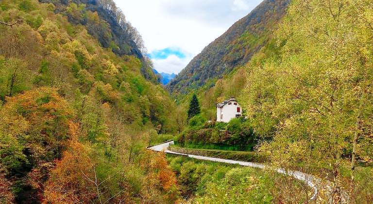 Chambre d'hôtes Cauterets