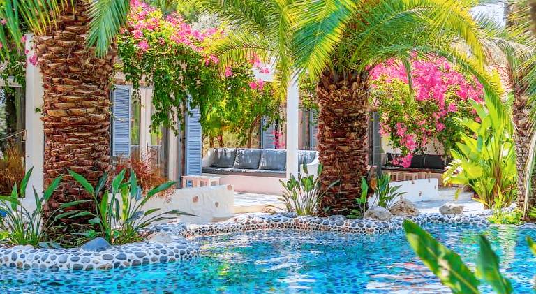 Ami Tai-Bungalows Pet Lovers in Fethiye