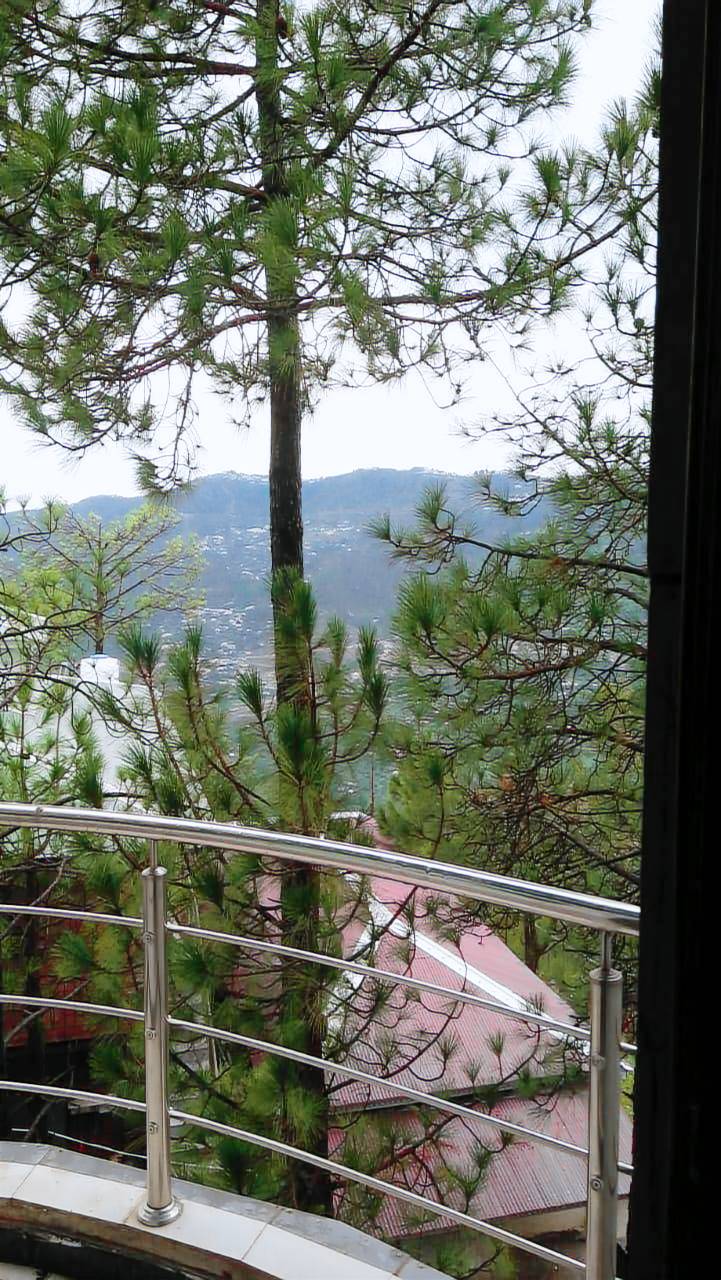 foto11