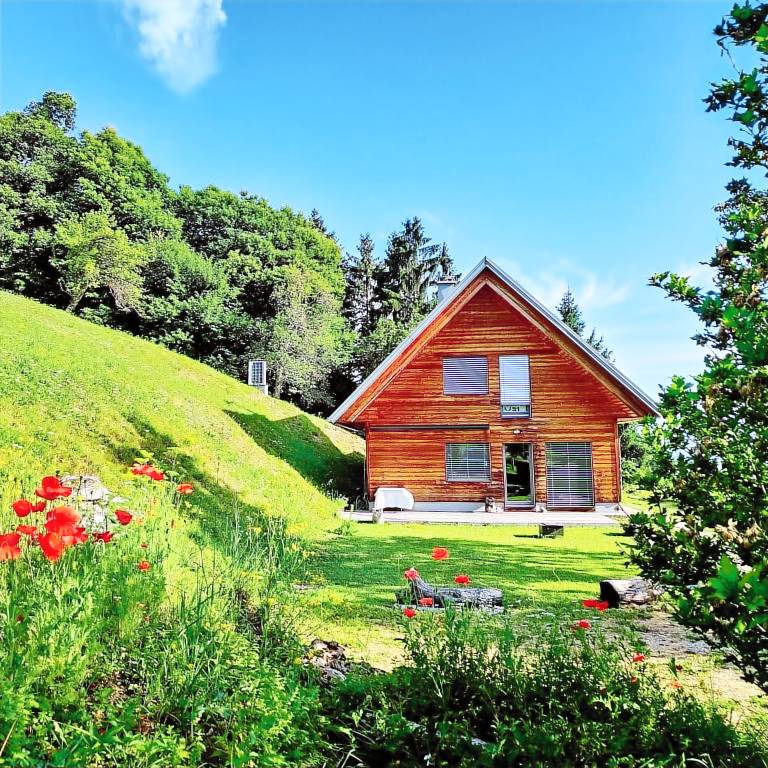 Cabin Gosteče