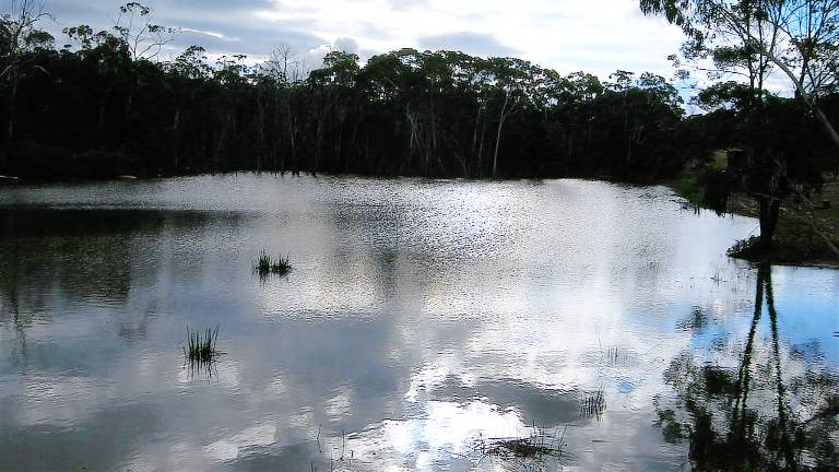 Cottage Bellbrae