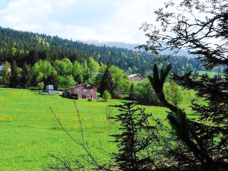 Ferienwohnung in Riedelsbach, Neureichenau für max. 2 Personen Ferienwohnung in Riedelsbach, Neureichenau für max. 2 Personen