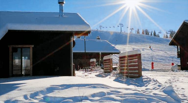 Chalet Petit Pierre Les Gets - Mountain Voyages in Les Gets