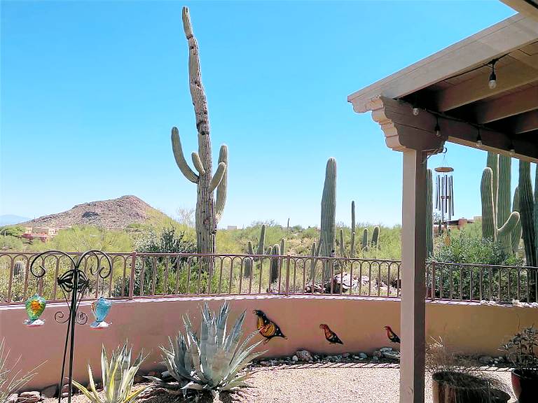 House Tucson