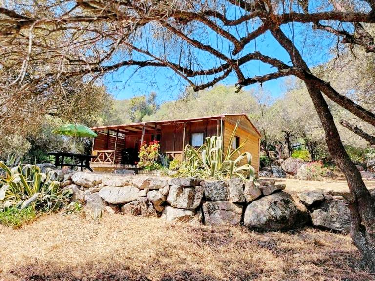 Chalet Olmeto