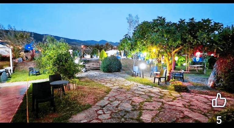 Nice farm with patio, pool & yard | Pets are welcome — photo 5