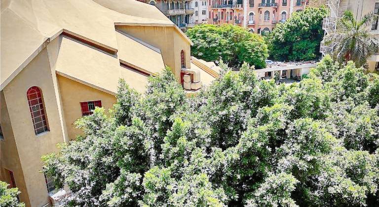 Spacious holiday apartment | Dogs allowed in Giza