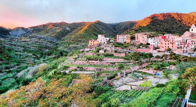 Arbanella in Riomaggiore