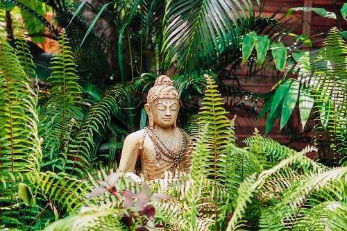 Bed and breakfast Anjuna Beach
