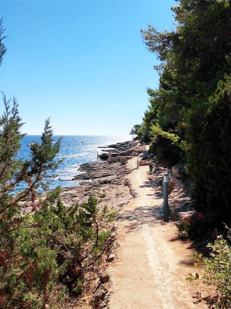 foto2