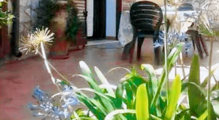 Villa | Pets are welcome in Castellammare del Golfo