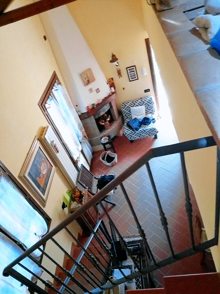 foto2