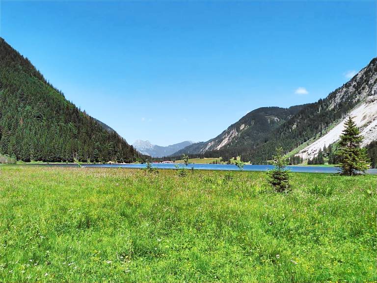 Ferienwohnung Tannheimer Tal