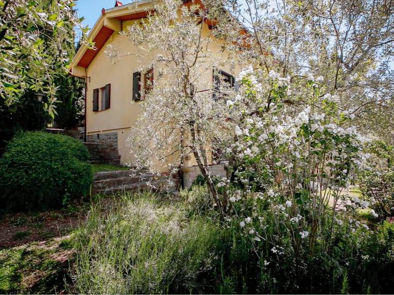 Vacation home with private pool, BBQ & yard — photo 5