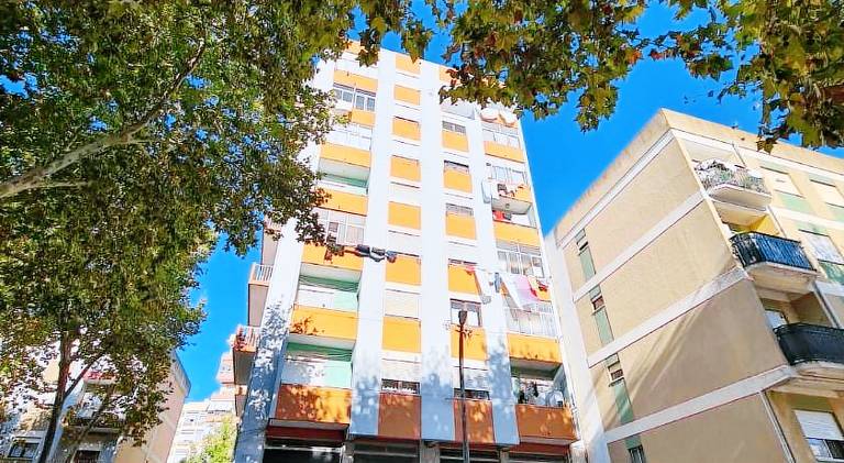 Nice holiday apartment | Pets are welcome — photo 3
