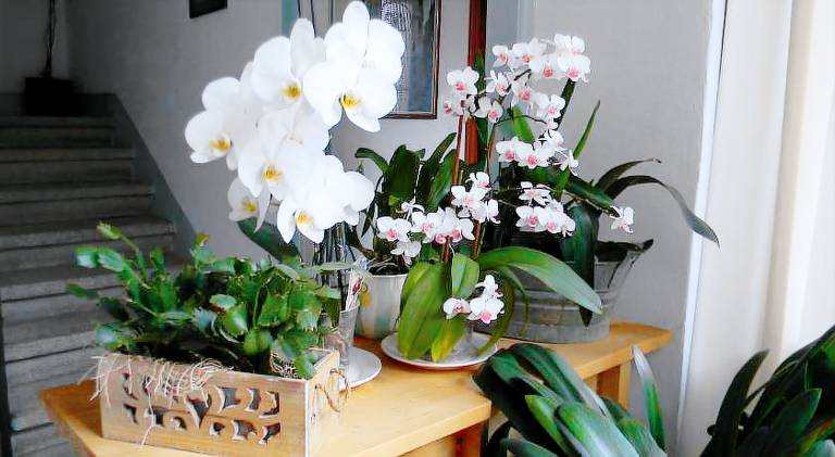 Holiday apartment with 2 rooms for 4 persons — photo 4