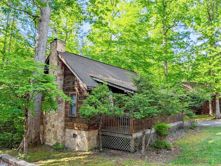 Children-friendly charming cabin with private pool | Dogs allowed — photo 3